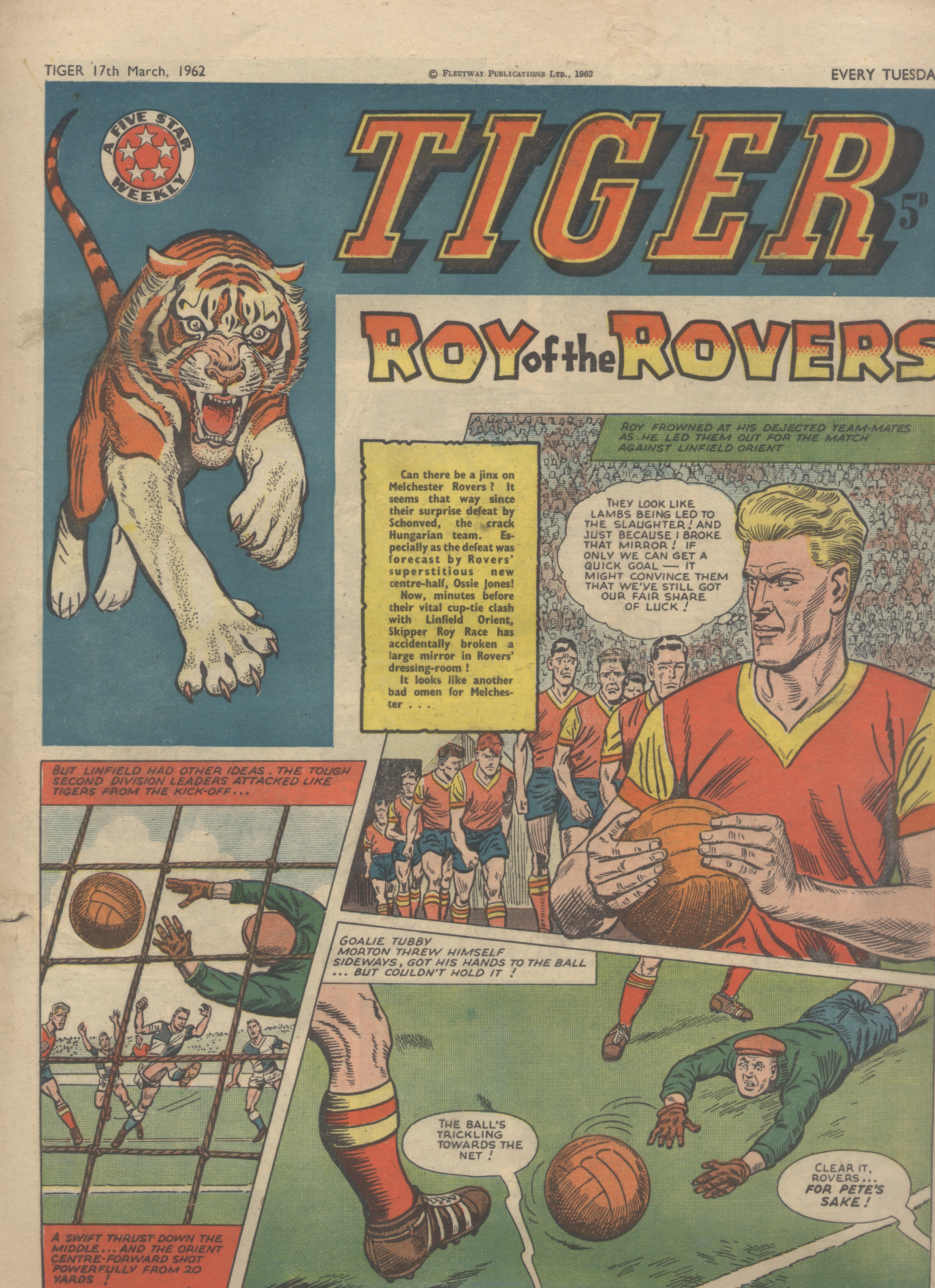 Tiger